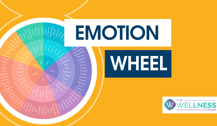 Emotion Wheel: The Psychologist Approved Tool to Address Your Feelings