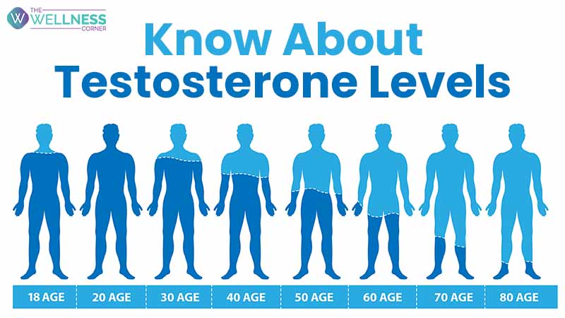 What Actually Increases Your Testosterone and What Doesn't?