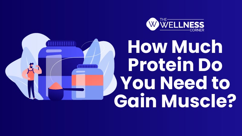 How Much Protein Do You Need to Gain Muscle?