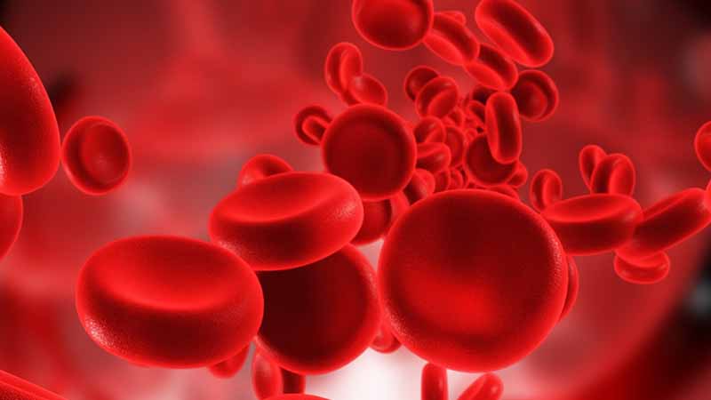 How to manage low hemoglobin levels?