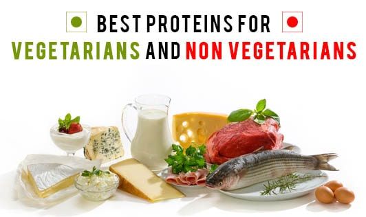 Best Proteins For Vegetarians And Non-vegetarians