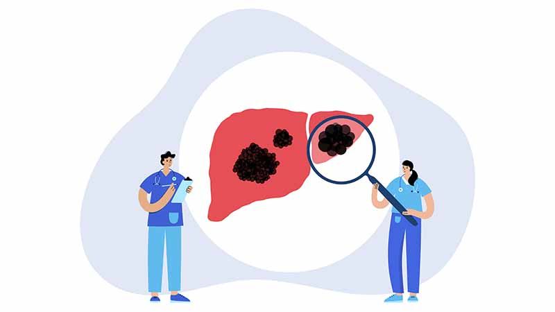 Toxins In The Liver