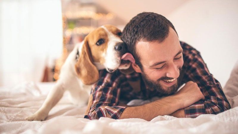 The Healing Power Of Pets: Health-Boosters