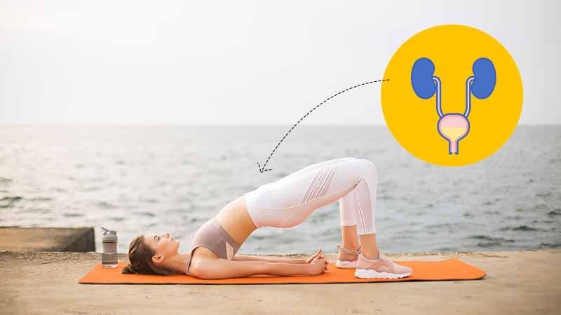 Yoga For Urinary System Disorders/ UTIs - The Wellness Corner