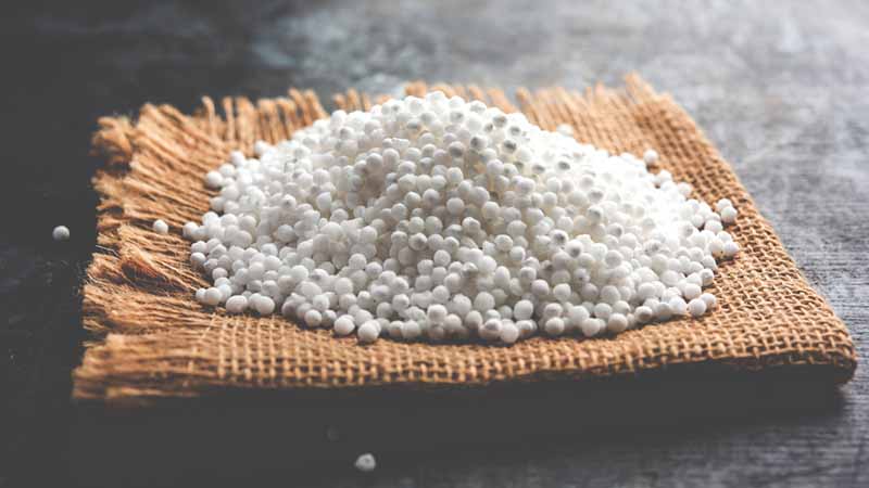 Is Sabudana (Sago) A Good Choice  For Weight Loss?