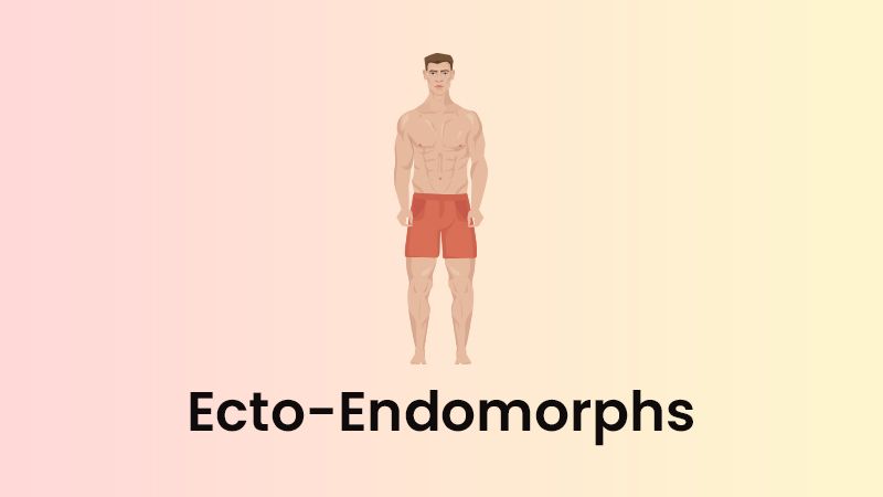 Meso endomorph exercise sale