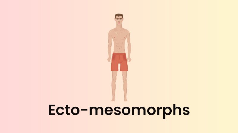 ecto mesomorph diet