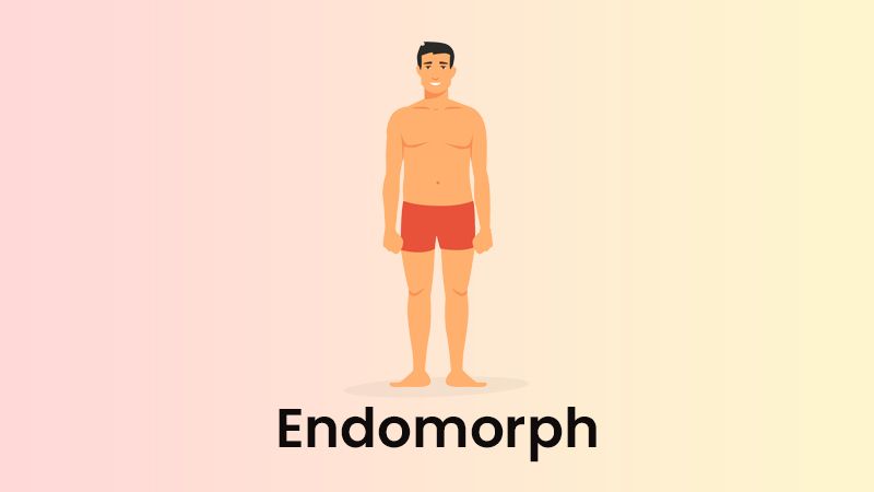 Are you an Endomorph, Ectomorph or Mesomorph? - Curves