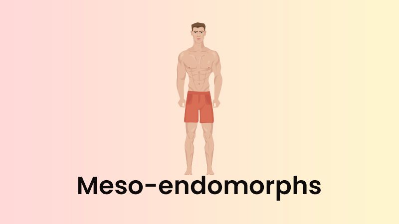 https://ghost-cms.s3.ap-south-1.amazonaws.com/2023/04/Meso-endomorphs.jpg