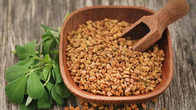 Methi Fenugreek For Hair Benefits  Home Remedies  The Wellness Corner