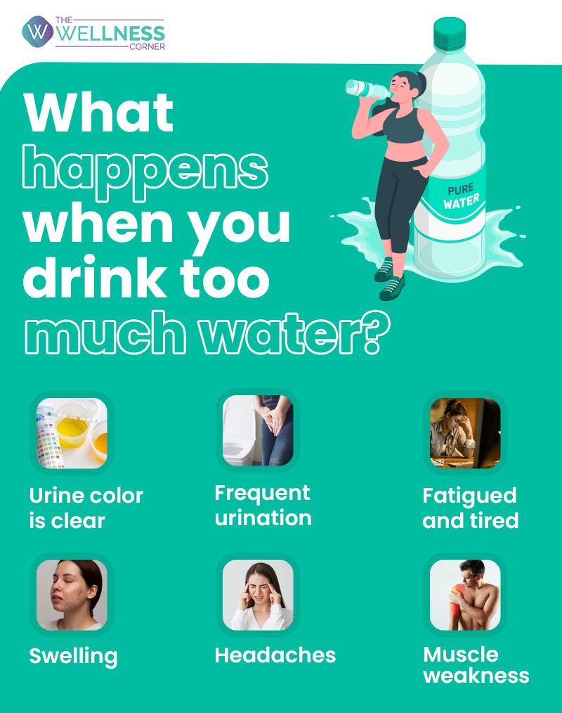 What Is Water Intoxication? Why Does Drinking Too Much Water Cause Fluid  Overdose