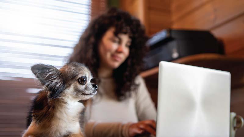 Pet-Friendly Offices: The Next Big Trend In Employee Wellness