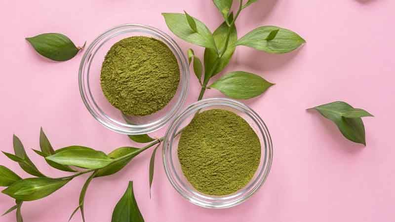 Moringa Powder Or Juice: Find Out Which Method Is Most Effective For Hair Growth