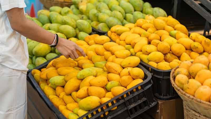 Buying Mangoes? Identify Artificially Ripened Fruits Quickly With These Simple Checks
